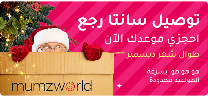 2-DESKTOP-BANNERS-3-AR-SANTADELIVERY.jpg