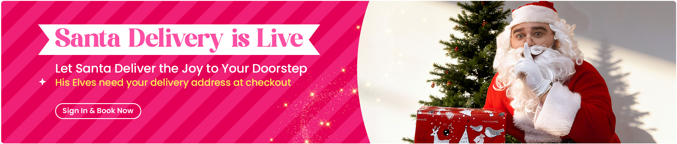 2-DESKTOP-BANNERS-3-EN-SANTADELIVERY.jpg